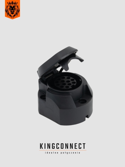 12V 13-pin socket 12V 13-pin socket